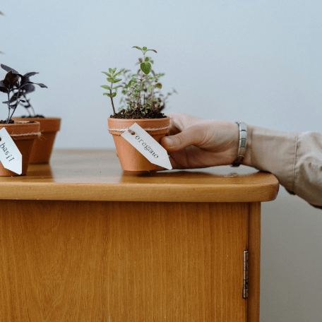 Organic Botanicals in Canada – Herbs, Spices & Natural Ingredients | Purely Organic Foods