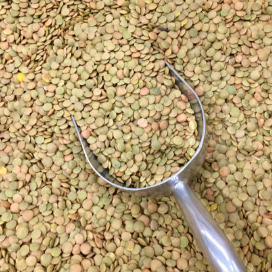 Organic Green Lentils (Laird)