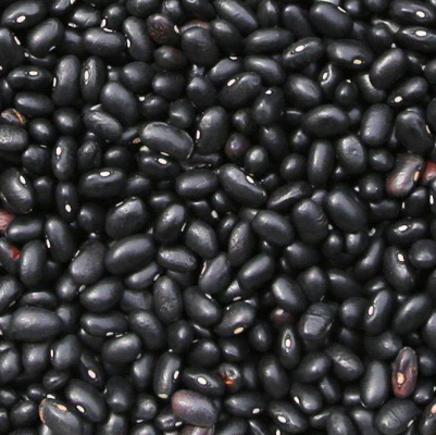 Organic Black Turtle Beans