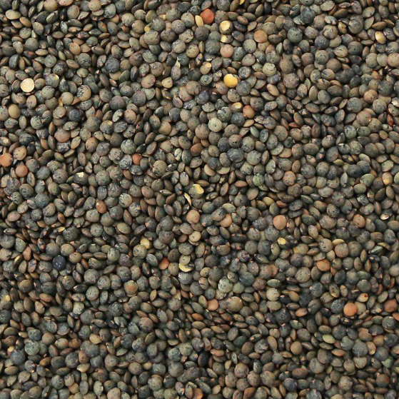 Organic Puy-Style Lentils/Organic French-Style Lentils