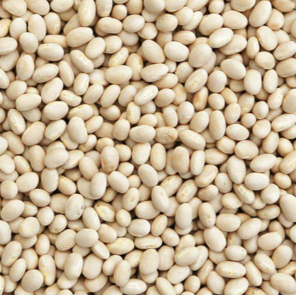 Organic Navy Beans