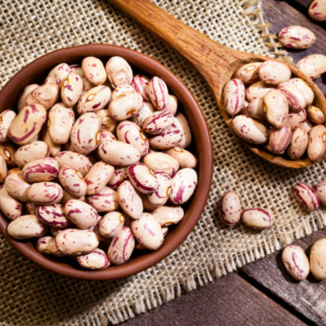 Organic Pinto Beans