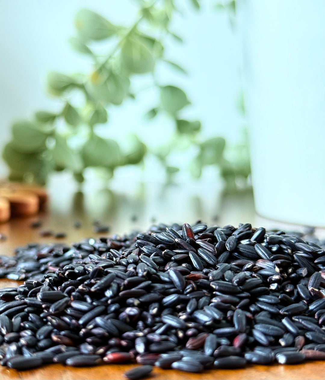Organic Black Rice 🌾🖤 – The Forbidden Supergrain