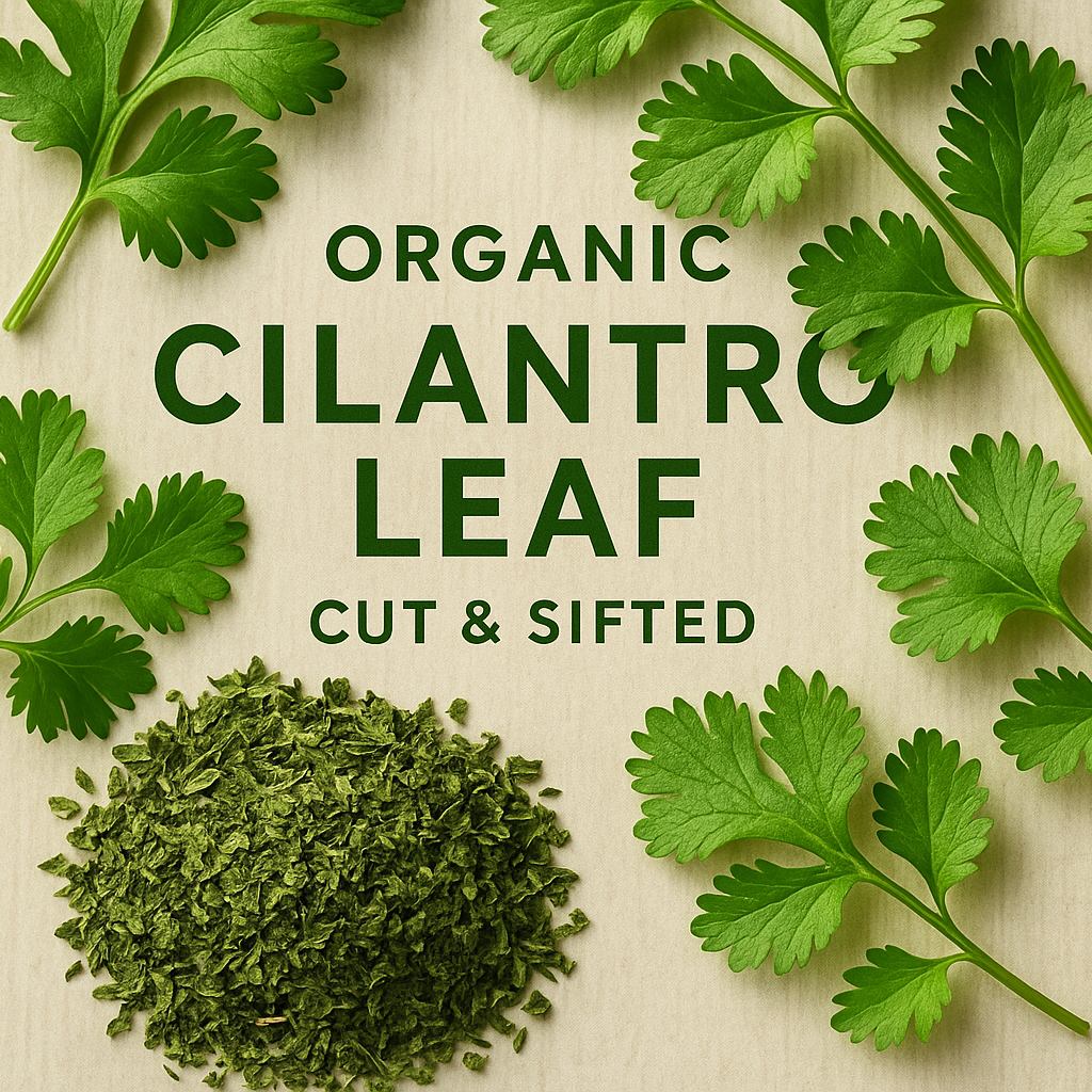 Organic dried cilantro leaf in resealable bag – vibrant green, aromatic, perfect for cooking, teas, and garnishes