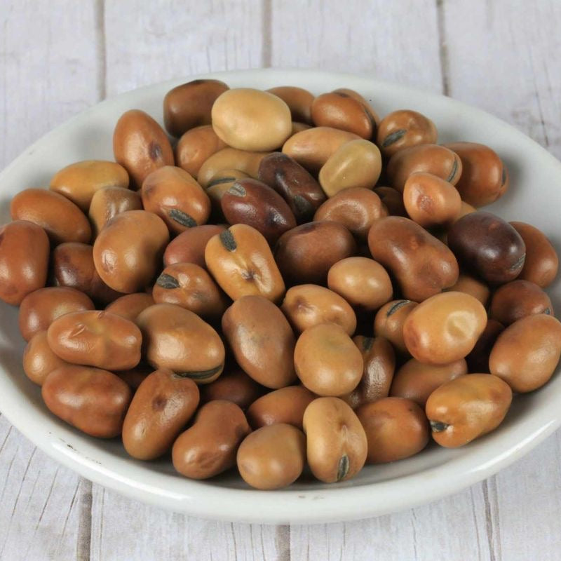 Close-up of dried fava beans (broad beans) in varying shades of tan and brown, piled in a white bowl on a whitewashed wooden table.