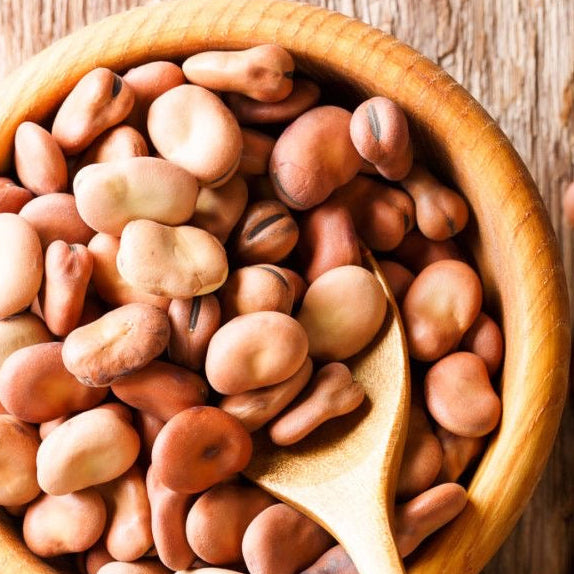 Overhead close-up of dried fava beans (broad beans) in a wooden bowl with a wooden spoon resting inside, set against a rustic wood plank background.