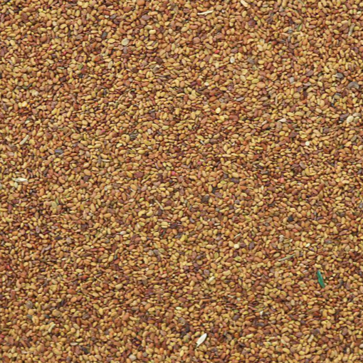 Organic alfalfa premium sprouting seeds, perfect for growing fresh, crunchy sprouts for salads, sandwiches, and healthy meals – Purely Organic Foods