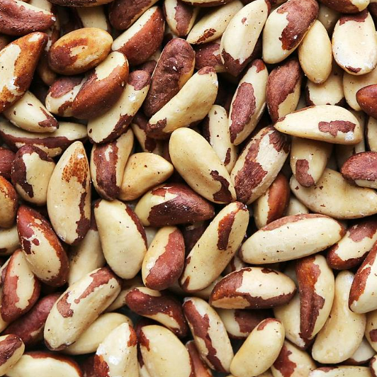 Organic raw whole Brazil nuts, rich in selenium and healthy fats, perfect for snacking, baking, and nutritious recipes – Purely Organic Foods