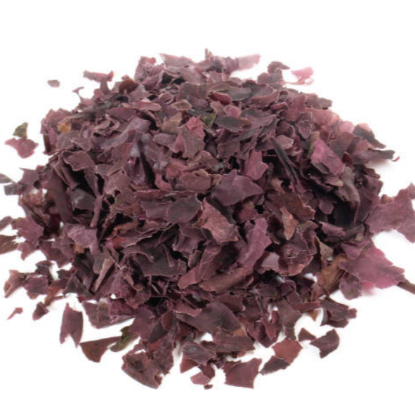 Organic wild harvested dulse seaweed flakes, rich in minerals and nutrients, perfect for seasoning, smoothies, and culinary uses.