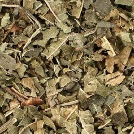 Organic lemon verbena leaves with a citrusy, soothing scent – a caffeine-free herbal tea ingredient loved for its relaxing properties

Premium organic lemon verbena from Purely Organic Foods – sun-dried leaves with bright lemon flavor for teas, tinctures, and culinary use