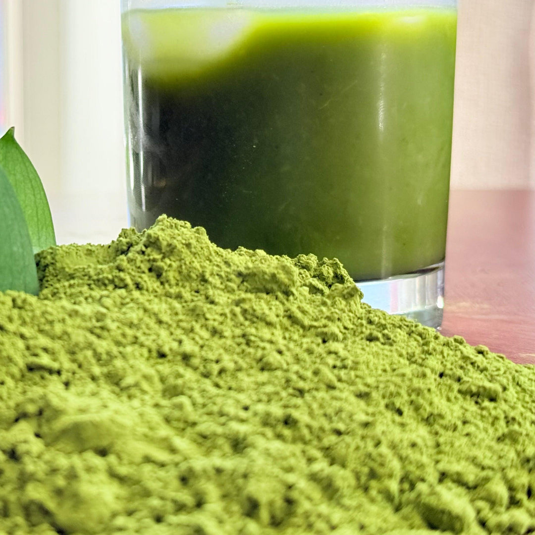 Organic Matcha Powder – High Grade, Pure and Fresh for Exceptional Flavor and Antioxidants