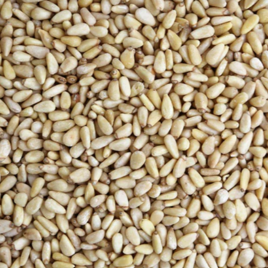 Organic Pine Nuts