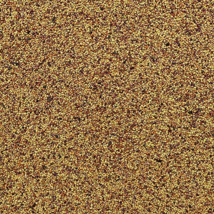 Organic red clover sprouting seeds, perfect for home sprouting to grow fresh, nutritious, and crunchy sprouts – Purely Organic Foods