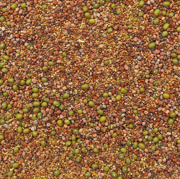 Organic sprouting mix sandwich blend, perfect for growing fresh and crunchy sprouts ideal for sandwiches and salads – Purely Organic Foods