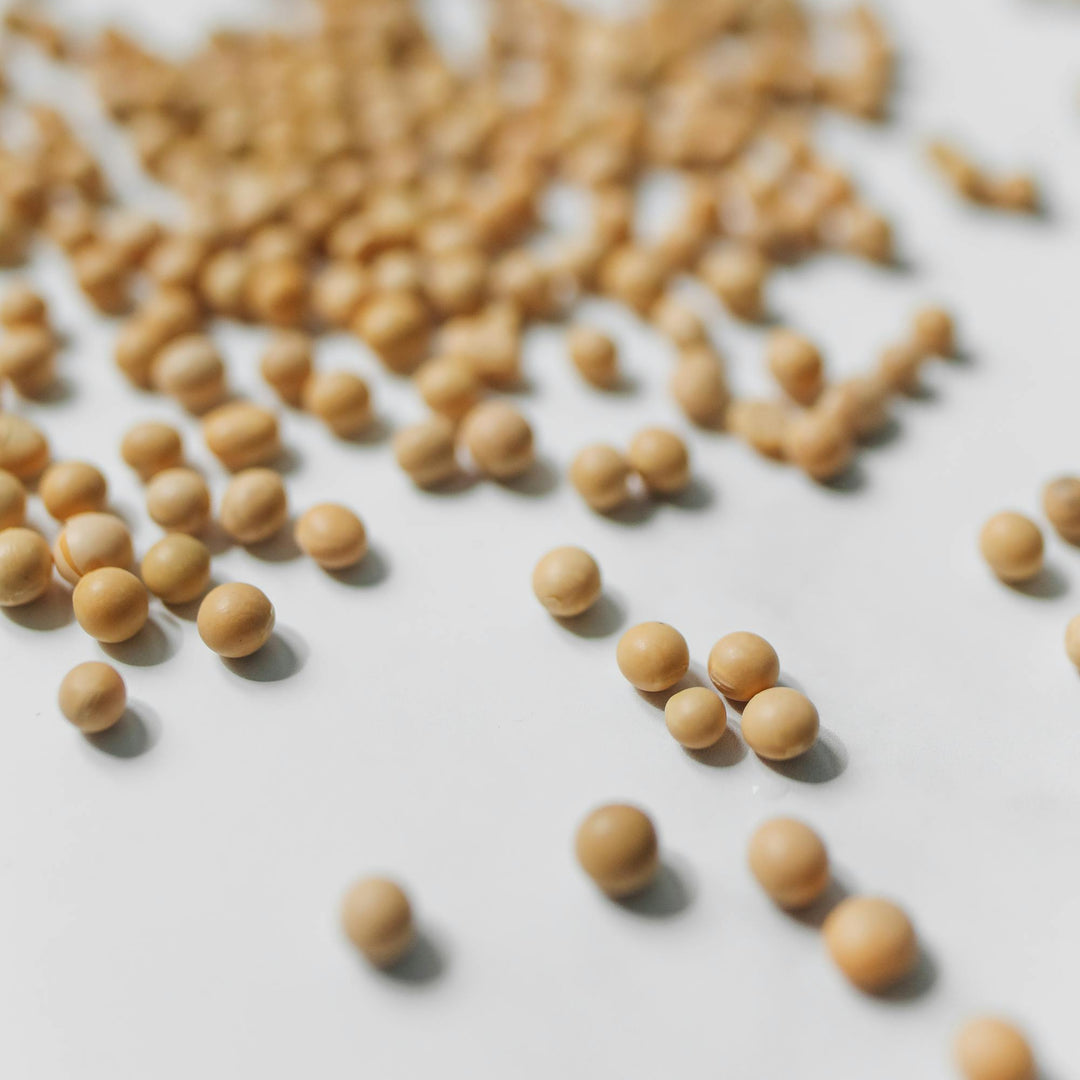 Organic Soy Beans