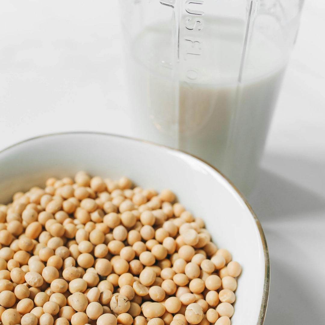 Organic Soy Beans