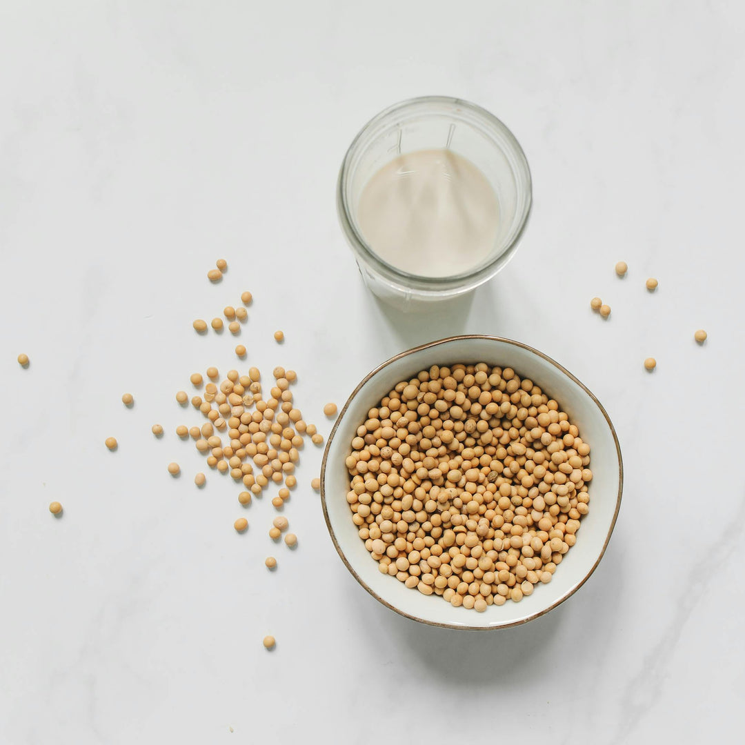 Organic Soy Beans