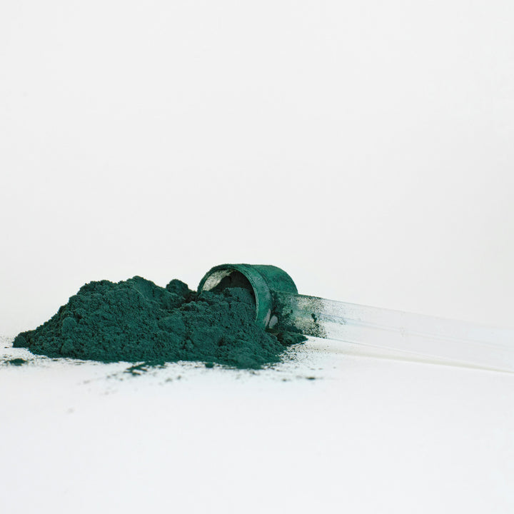 High-quality organic spirulina powder with rich chlorophyll content – great for boosting immune health, metabolism, and natural detoxification

Organic superfood spirulina powder, vibrant green and 100% pure – perfect for adding plant-based nutrition to shakes, bowls, and health routines