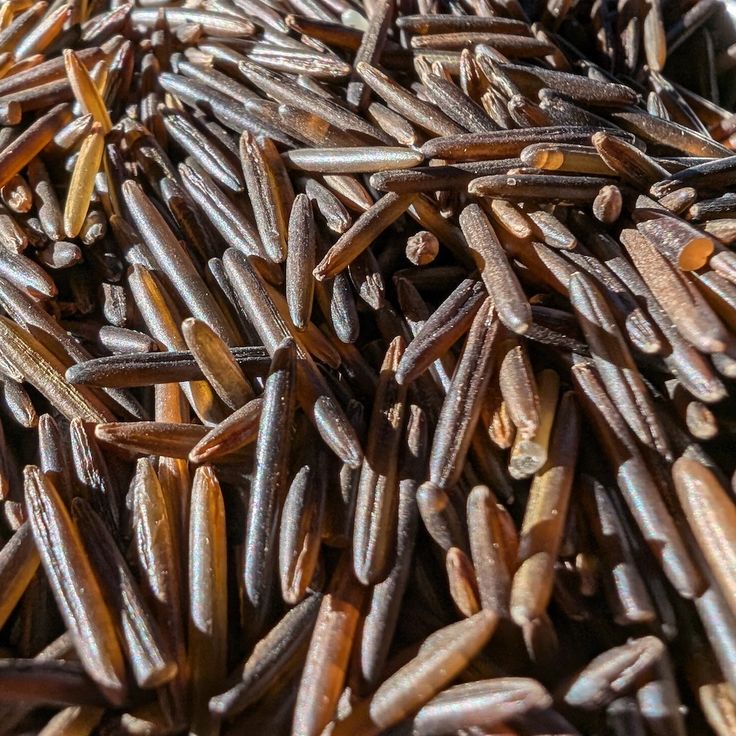 High-quality Organic Wild Rice Grade A for cooking soups, salads, and pilafs