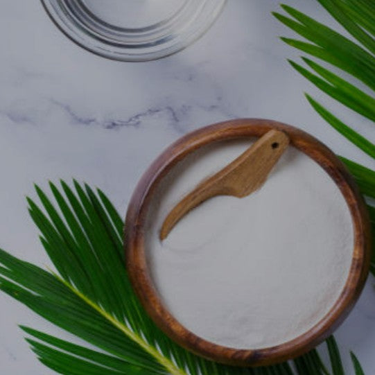 Premium Organic Coconut Water Powder for Drinks and Recipes