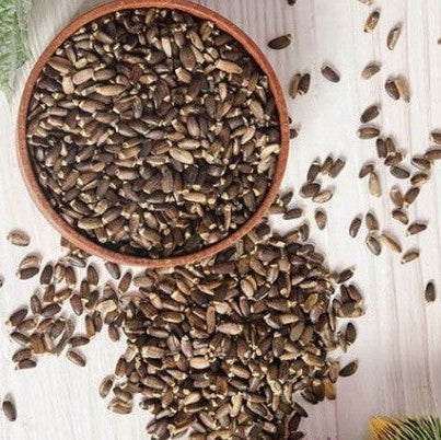 Purely Organic Foods premium quality organic milk thistle seeds in a bowl.

Whole organic milk thistle seeds from Purely Organic Foods, light brown and aromatic.