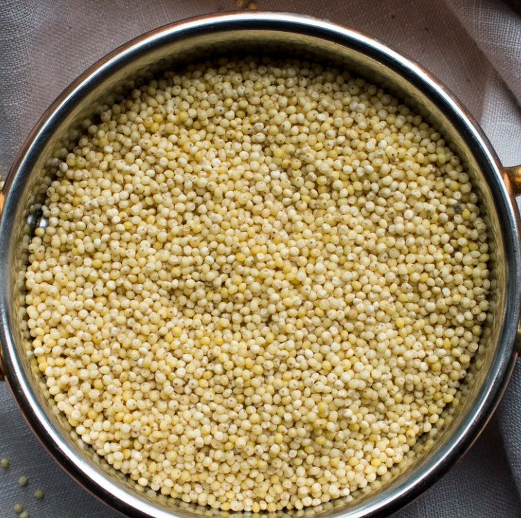 Premium organic millet whole grain, ideal for wholesome recipes, cereals, and gluten-free diets – Purely Organic Foods