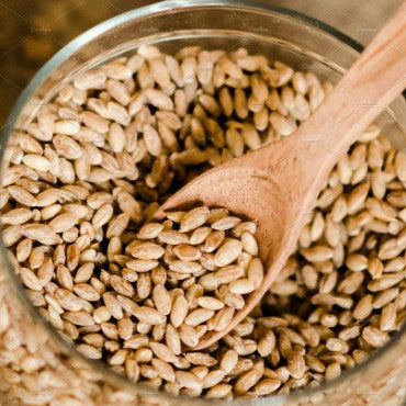 Organic Pearled Barley by Purely Organic Foods – Premium Whole Grain"