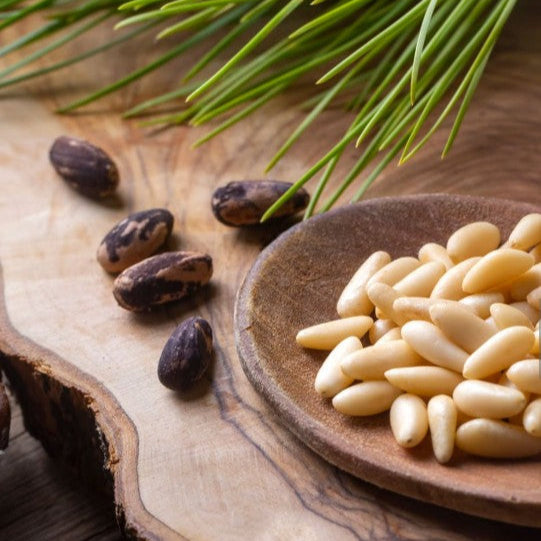 Organic pine nuts, nutrient-rich whole nuts perfect for cooking, baking, and adding flavor to salads and pesto – Purely Organic Foods