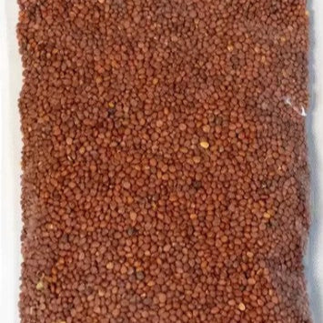 Organic radish sprouting seed blend, perfect for growing fresh, crunchy sprouts for salads, sandwiches, and healthy meals – Purely Organic Foods