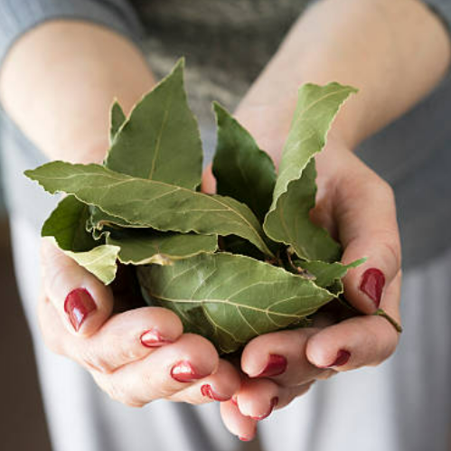 Organic whole bay leaves by Purely Organic Foods – sun-dried for maximum aroma and flavor, perfect for soups, stews, curries, and slow-cooked meals.