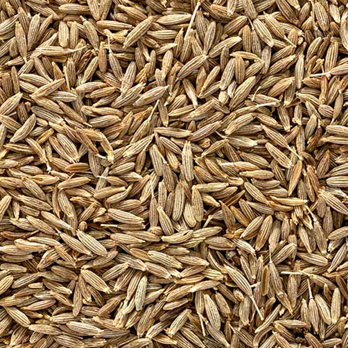 Organic whole cumin seeds by Purely Organic Foods, with a warm, earthy aroma, ideal for adding depth and flavor to a variety of cuisines and dishes.